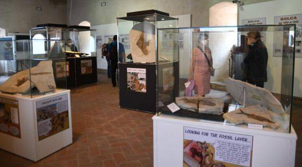 Exposition of Bolca's fossils in the Castello of Malcesine